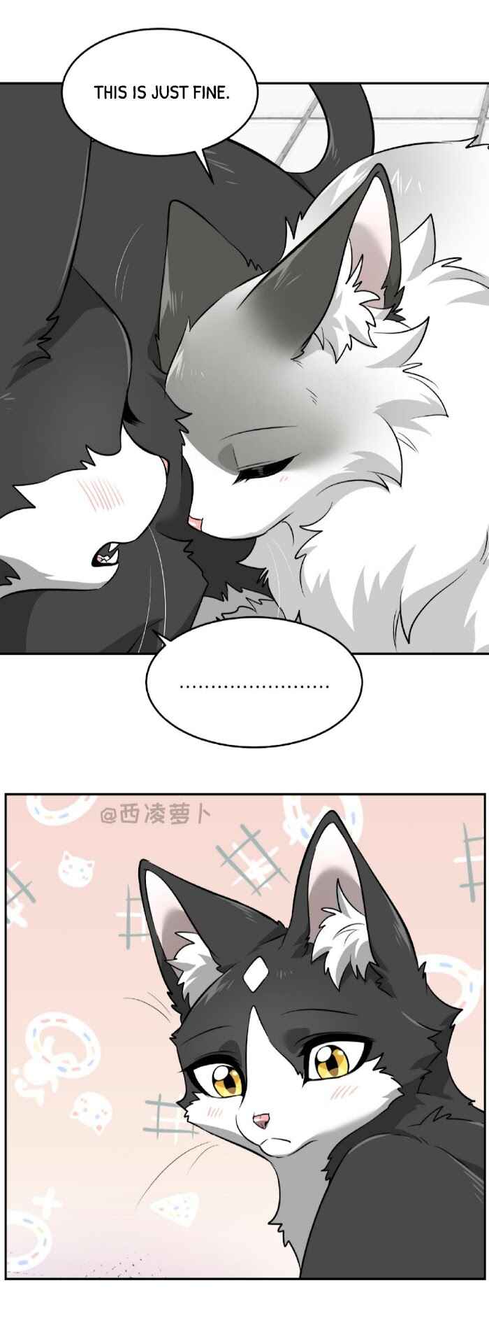 Chapter 7 - Page 8