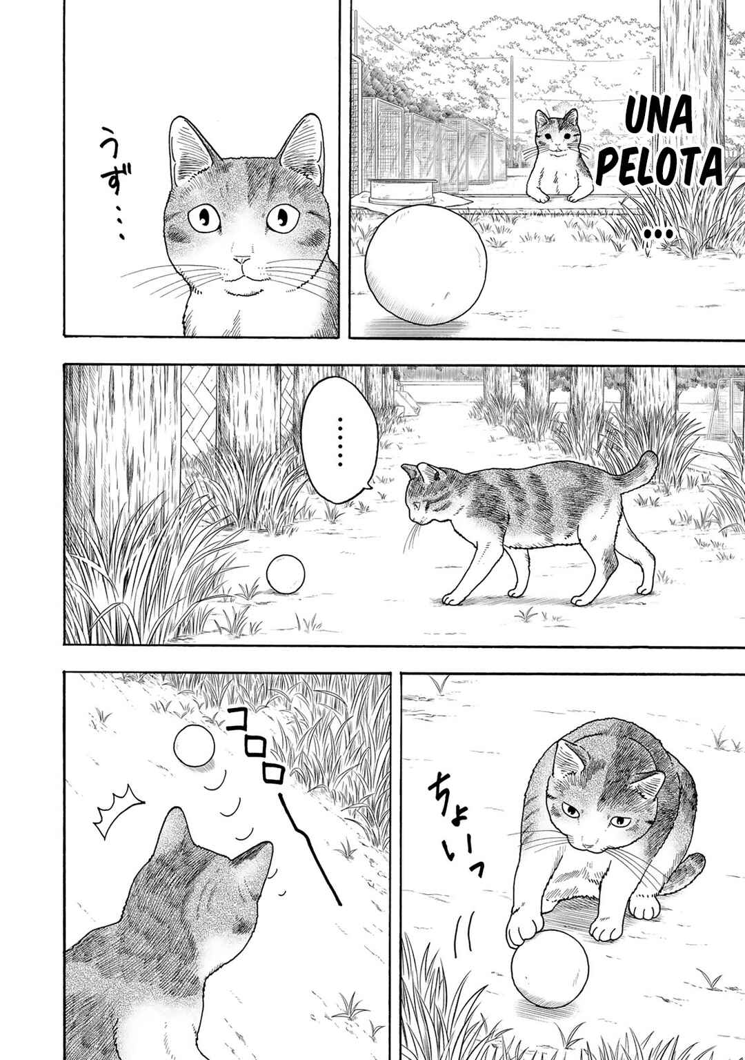 Chapter 2 - Page 13