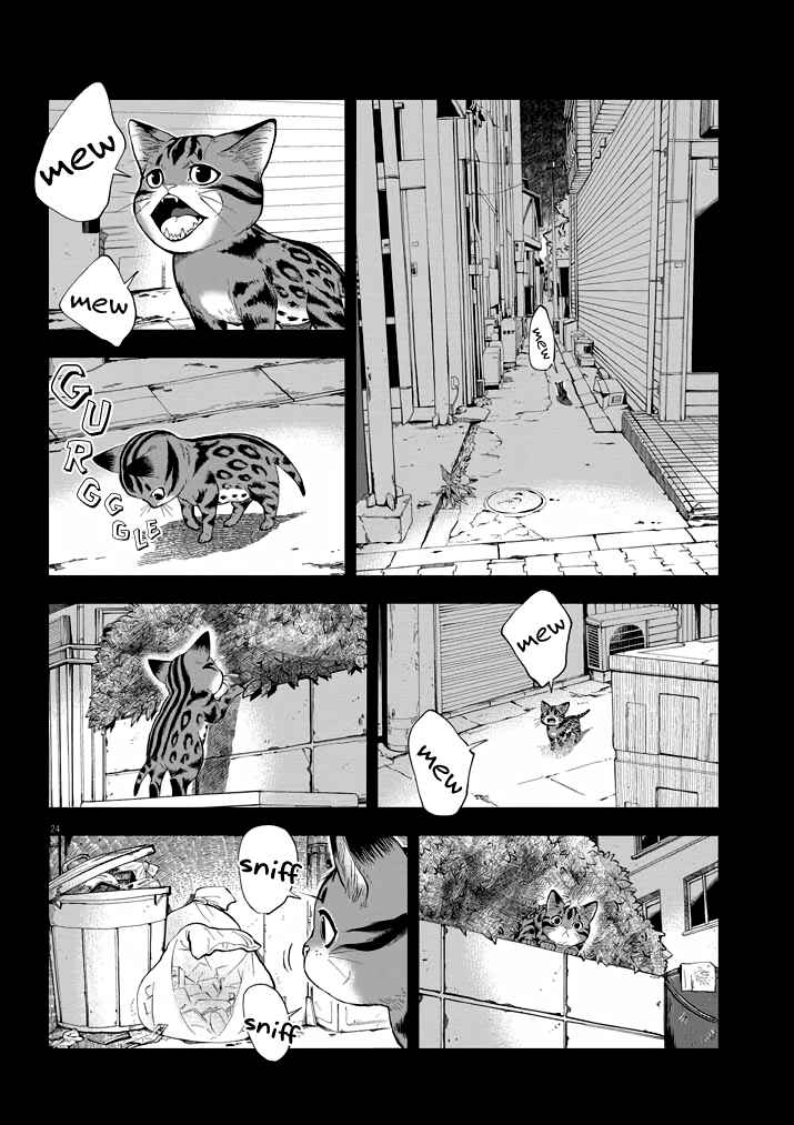 Chapter 2 - Page 23