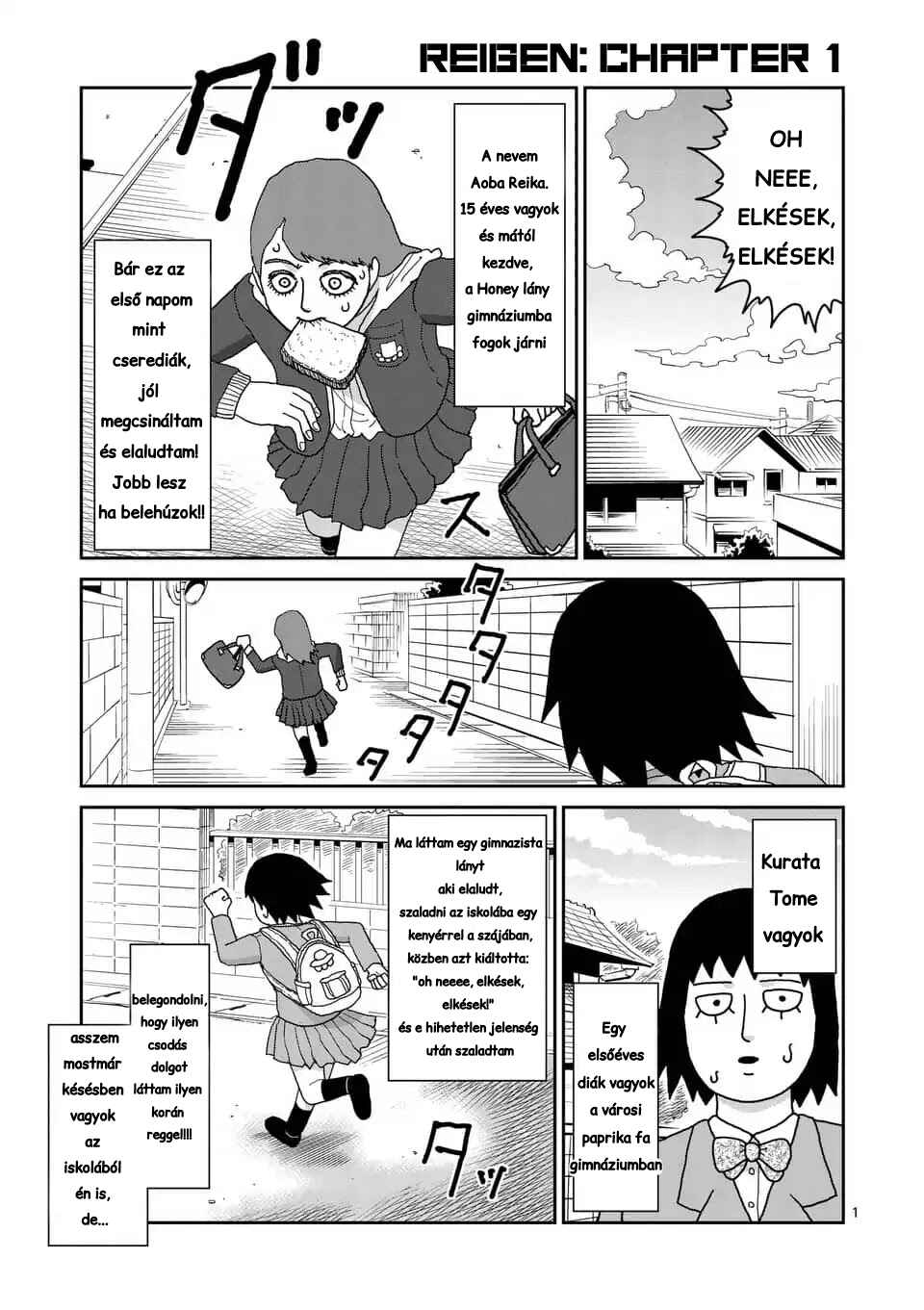 Chapter 1 - Page 1