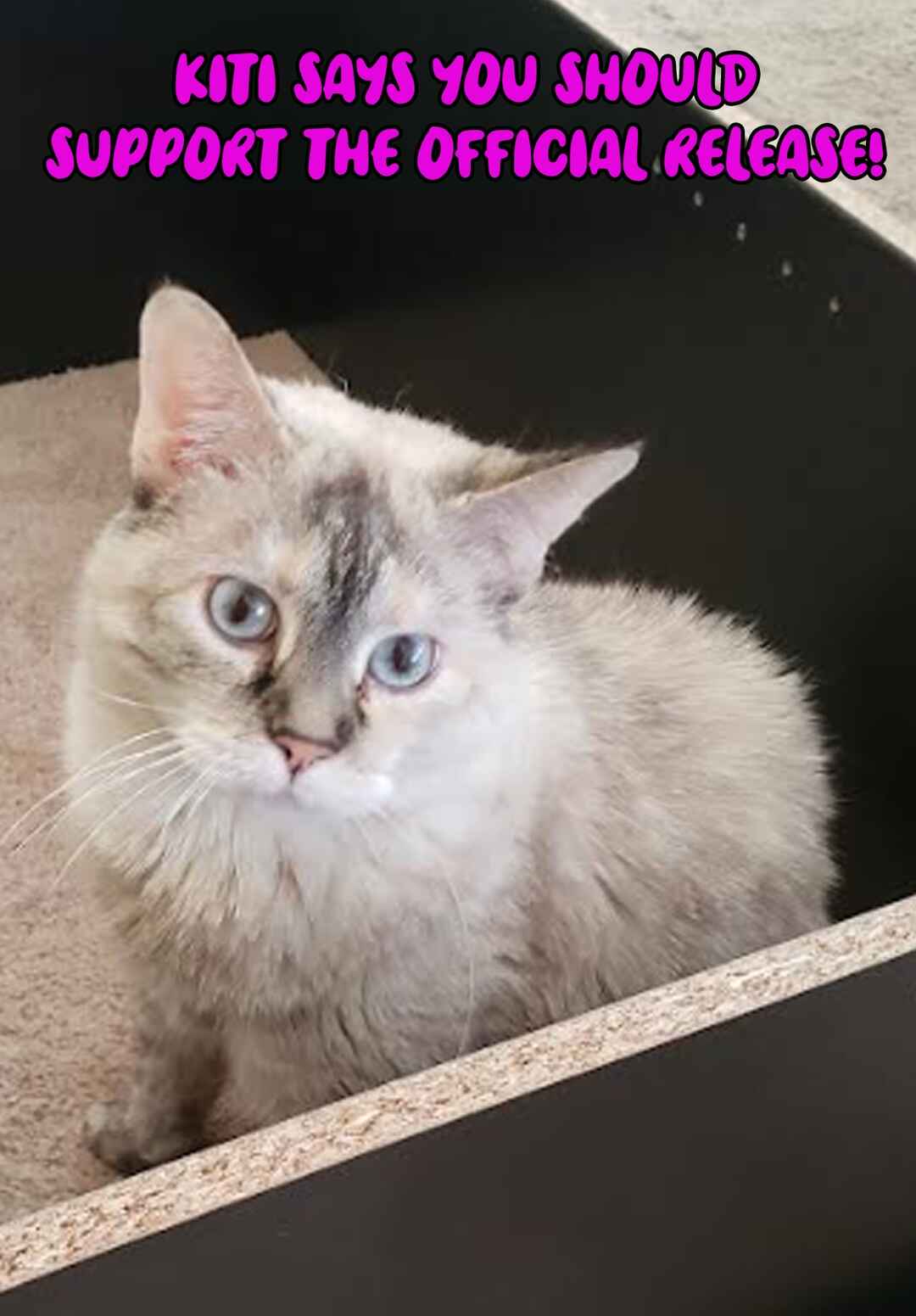 Chapter 7 - Page 19