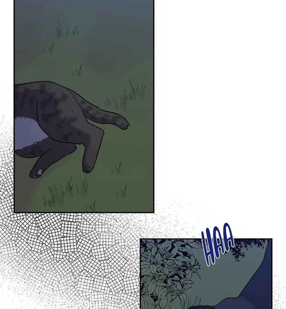 Chapter 31 - Page 5