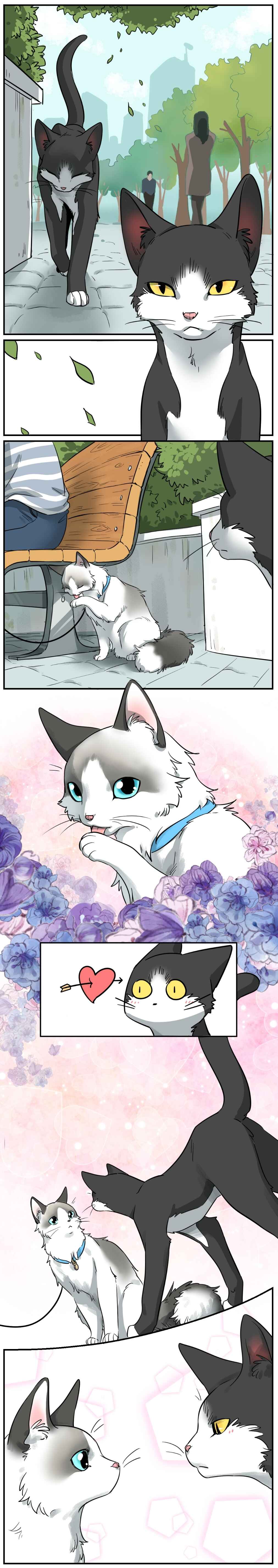 Chapter 0.1 - Page 1