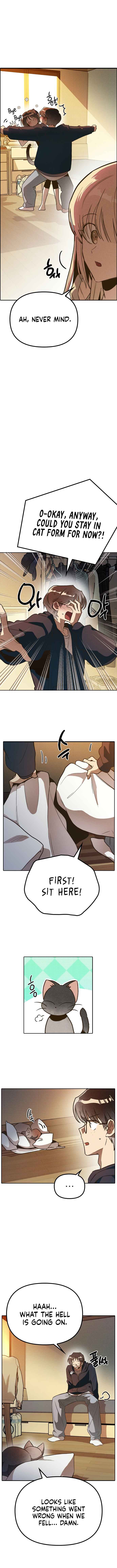 Chapter 2 - Page 6