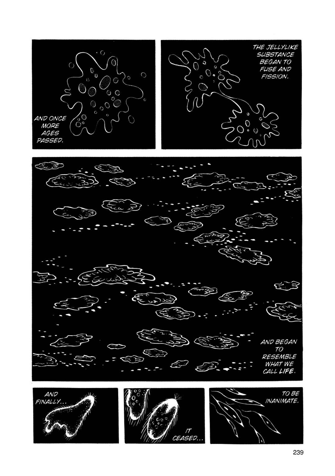 Chapter 2 - Page 238