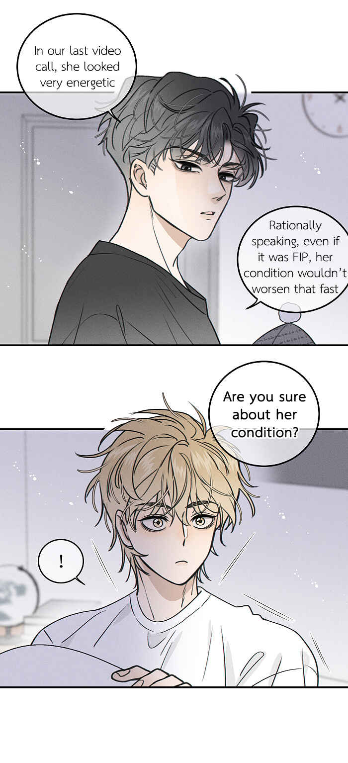 Chapter 164 - Page 2