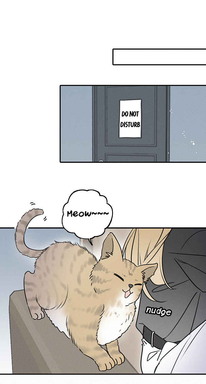 Chapter 164 - Page 3