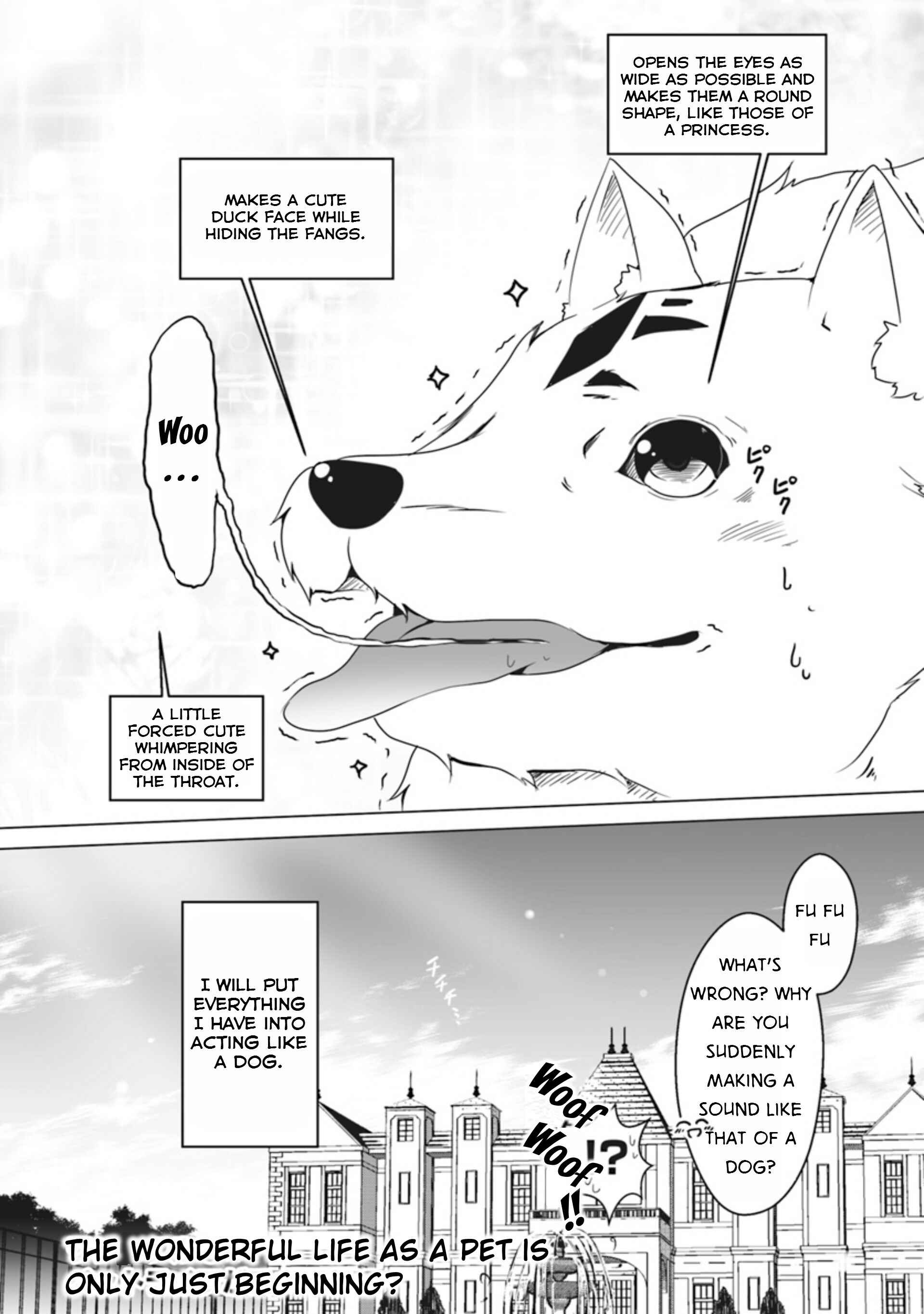 Chapter 1 - Page 23