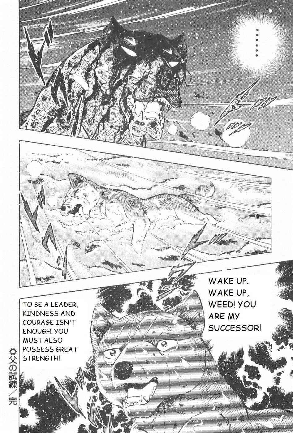 Chapter 245 - Page 22