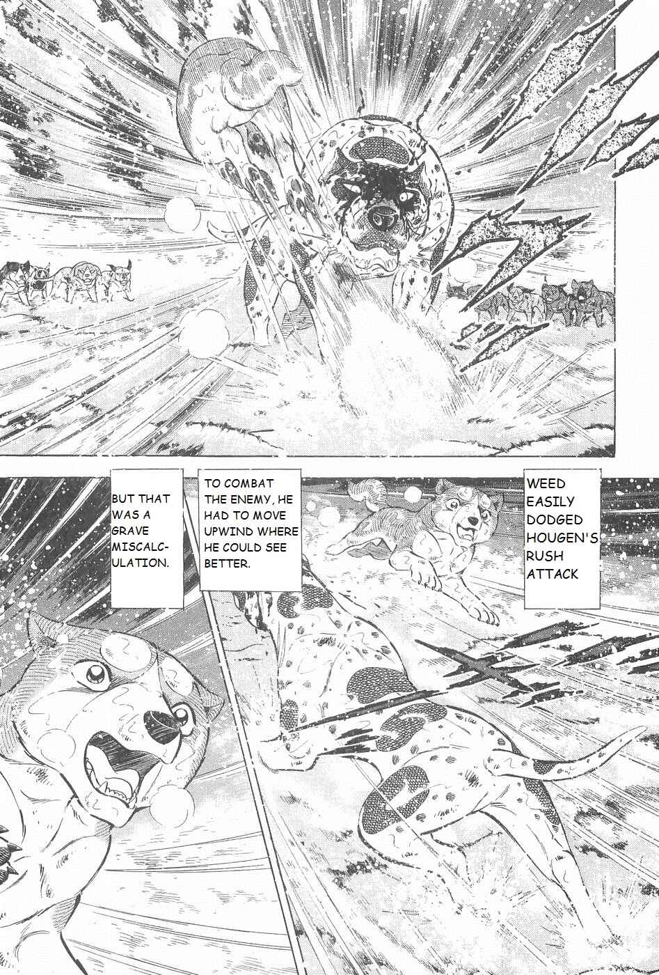 Chapter 245 - Page 8