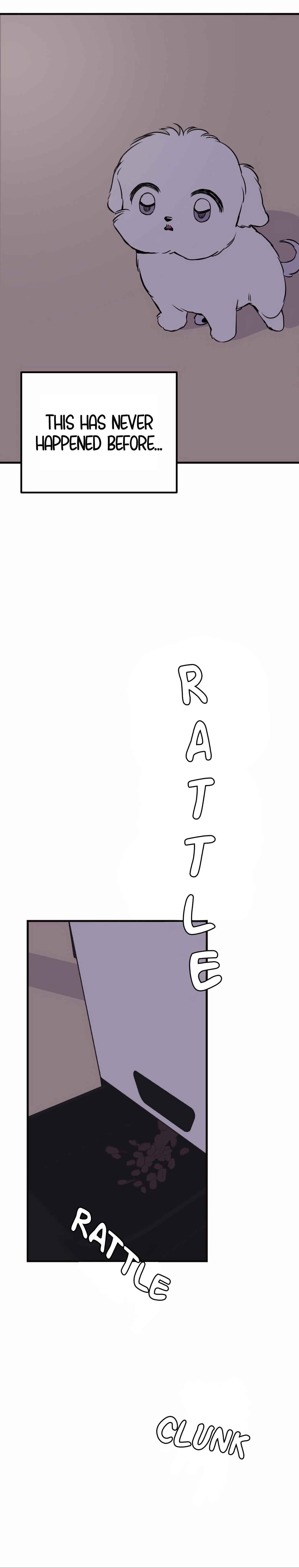 Chapter 1 - Page 13