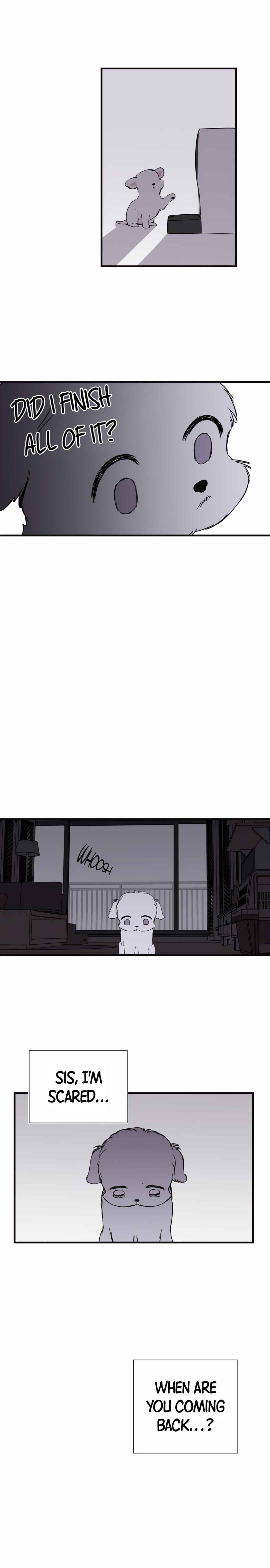 Chapter 1 - Page 17