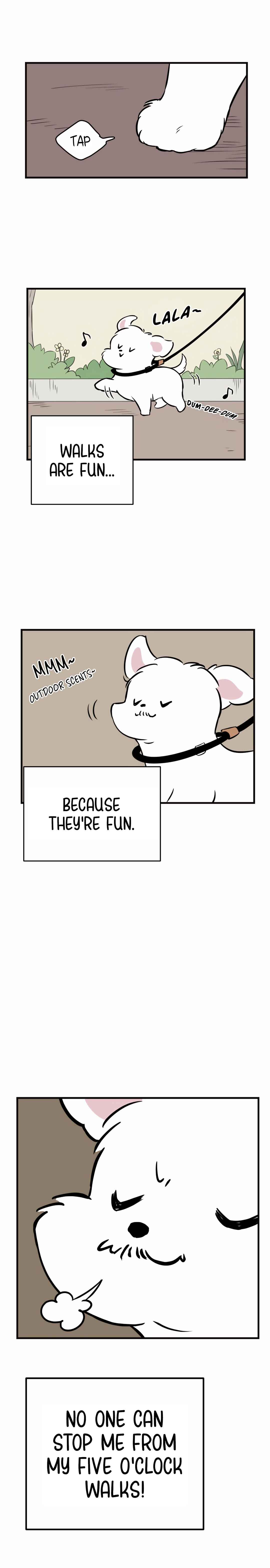 Chapter 1 - Page 5
