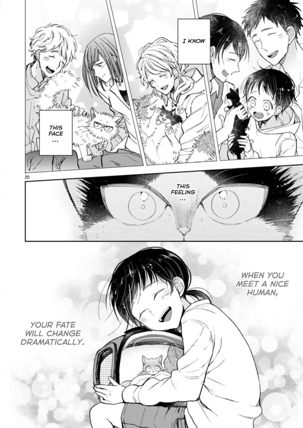 Chapter 19.3 - Page 20