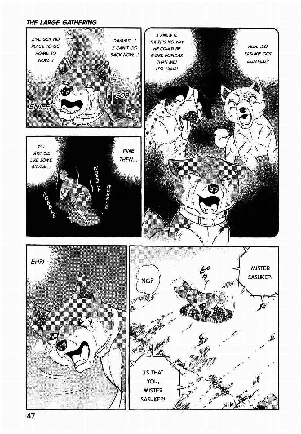 Chapter 317 - Page 13
