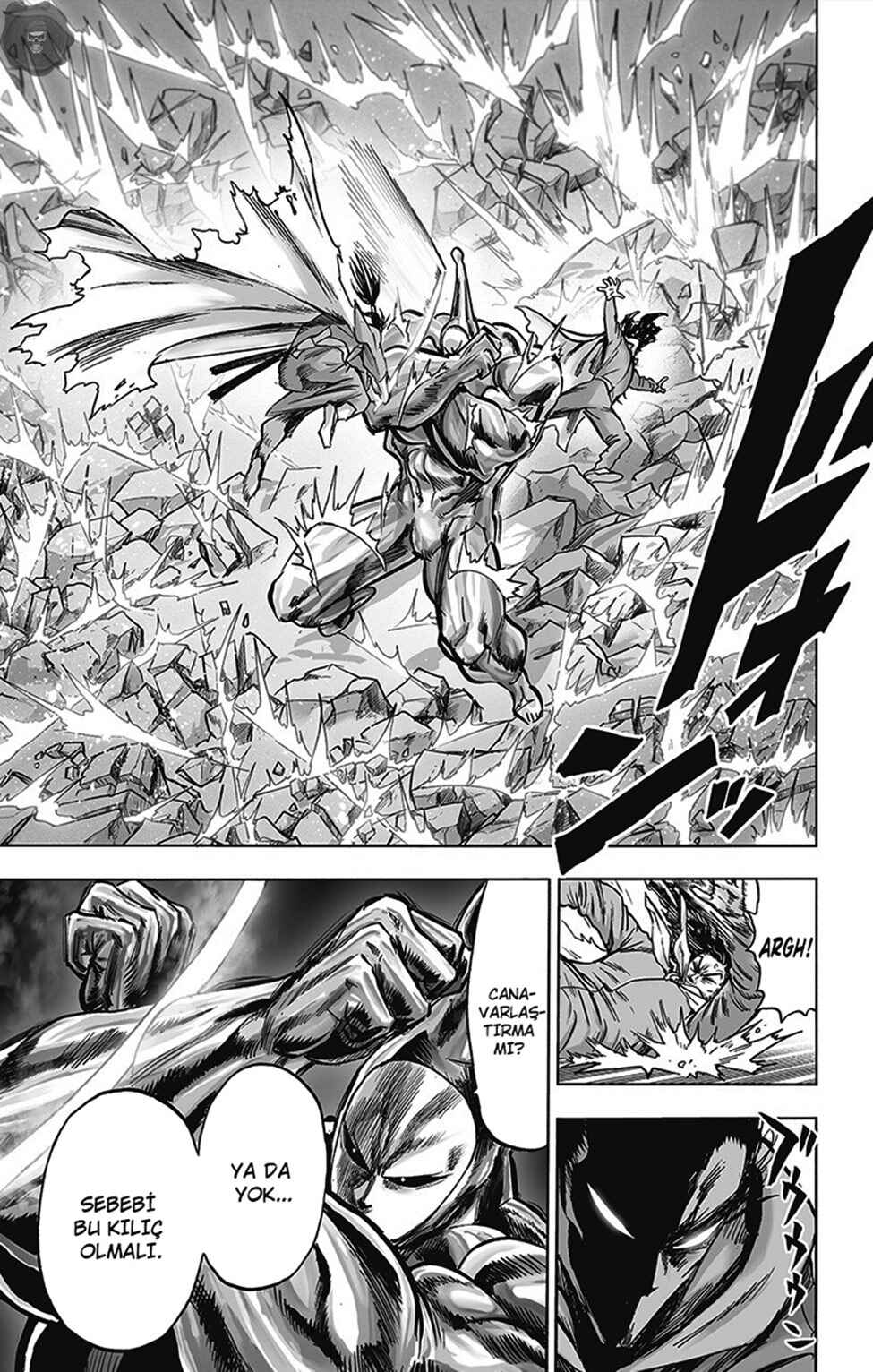 Chapter 156 - Page 14