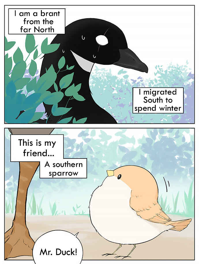 Chapter 31 - Page 1