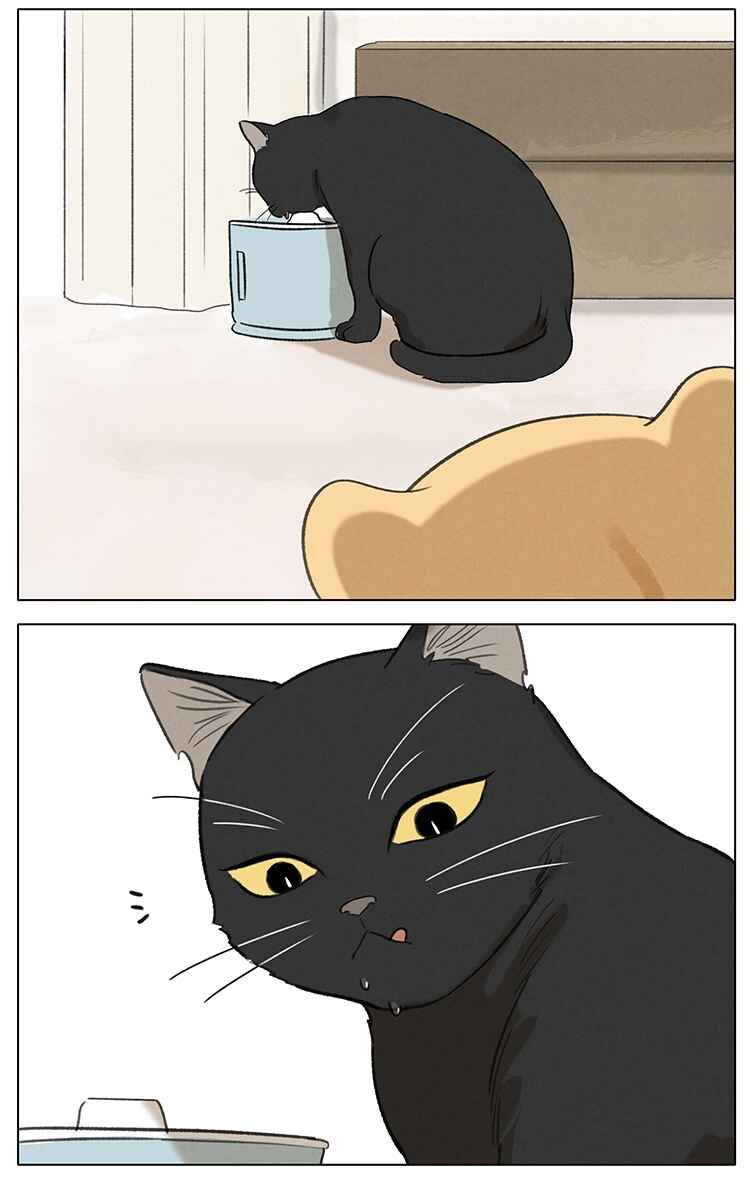 Chapter 6 - Page 7