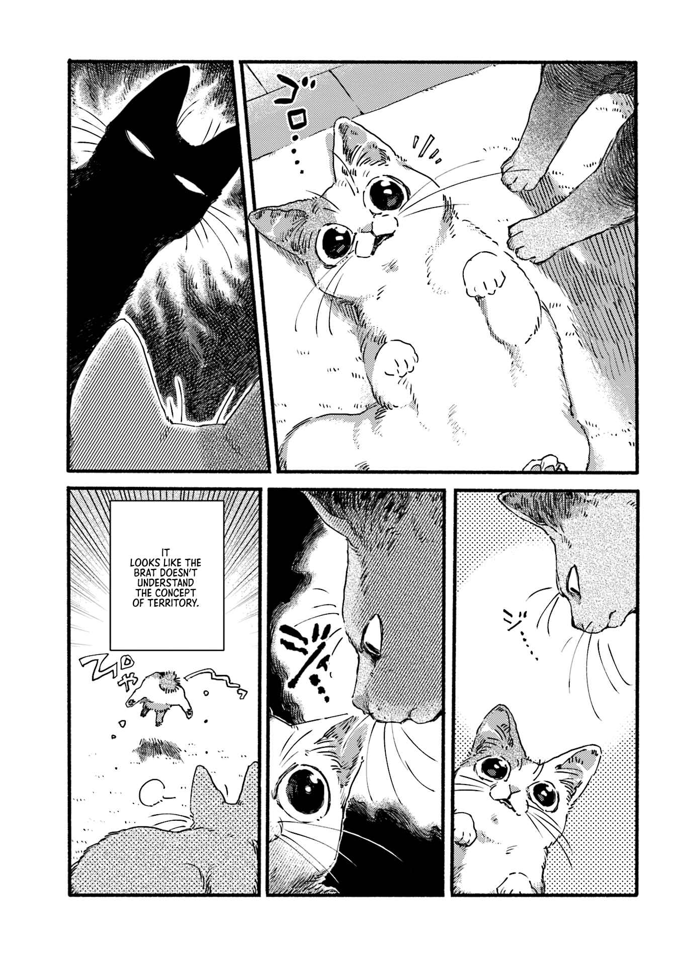 Chapter 3 - Page 3