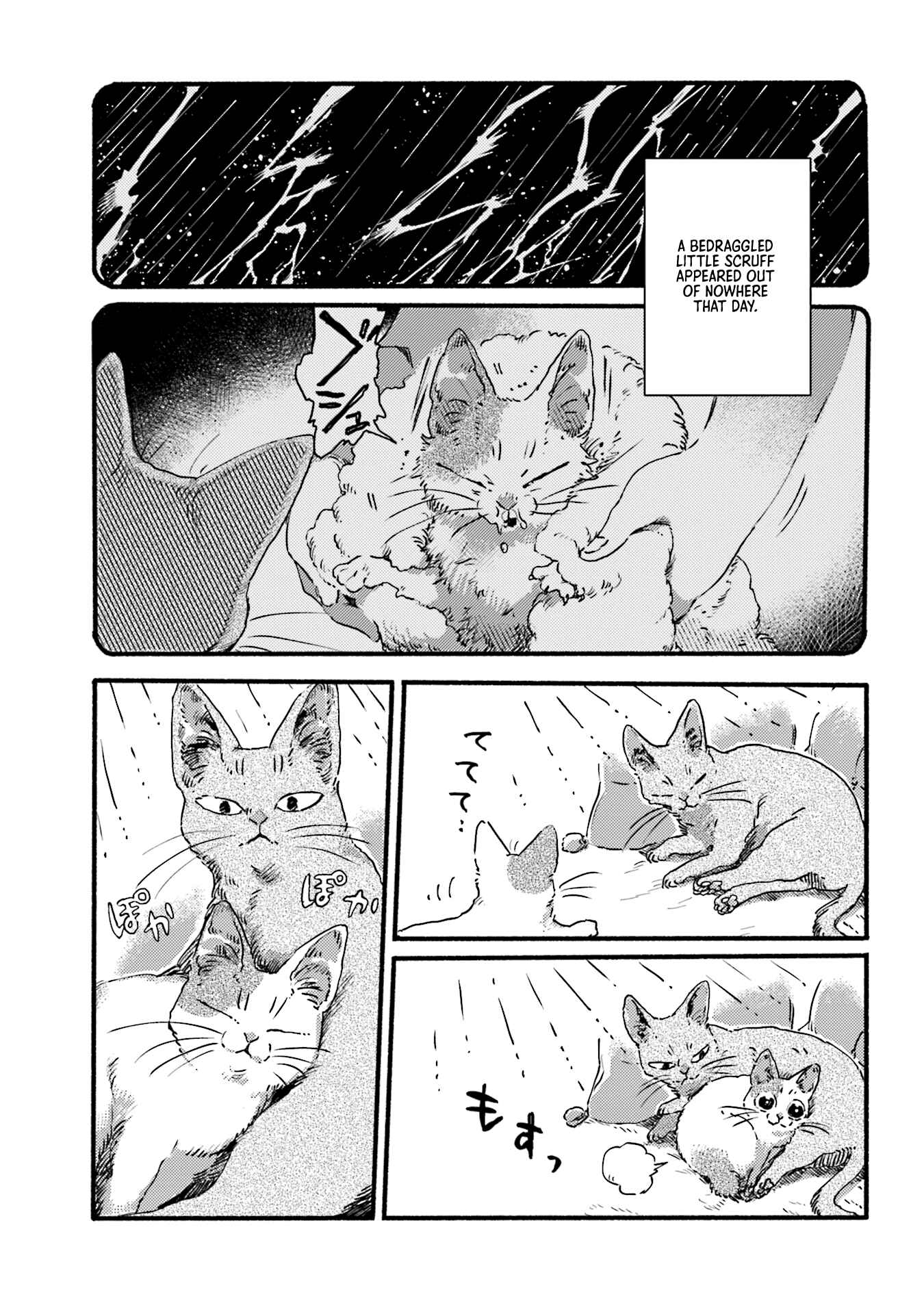 Chapter 3 - Page 5