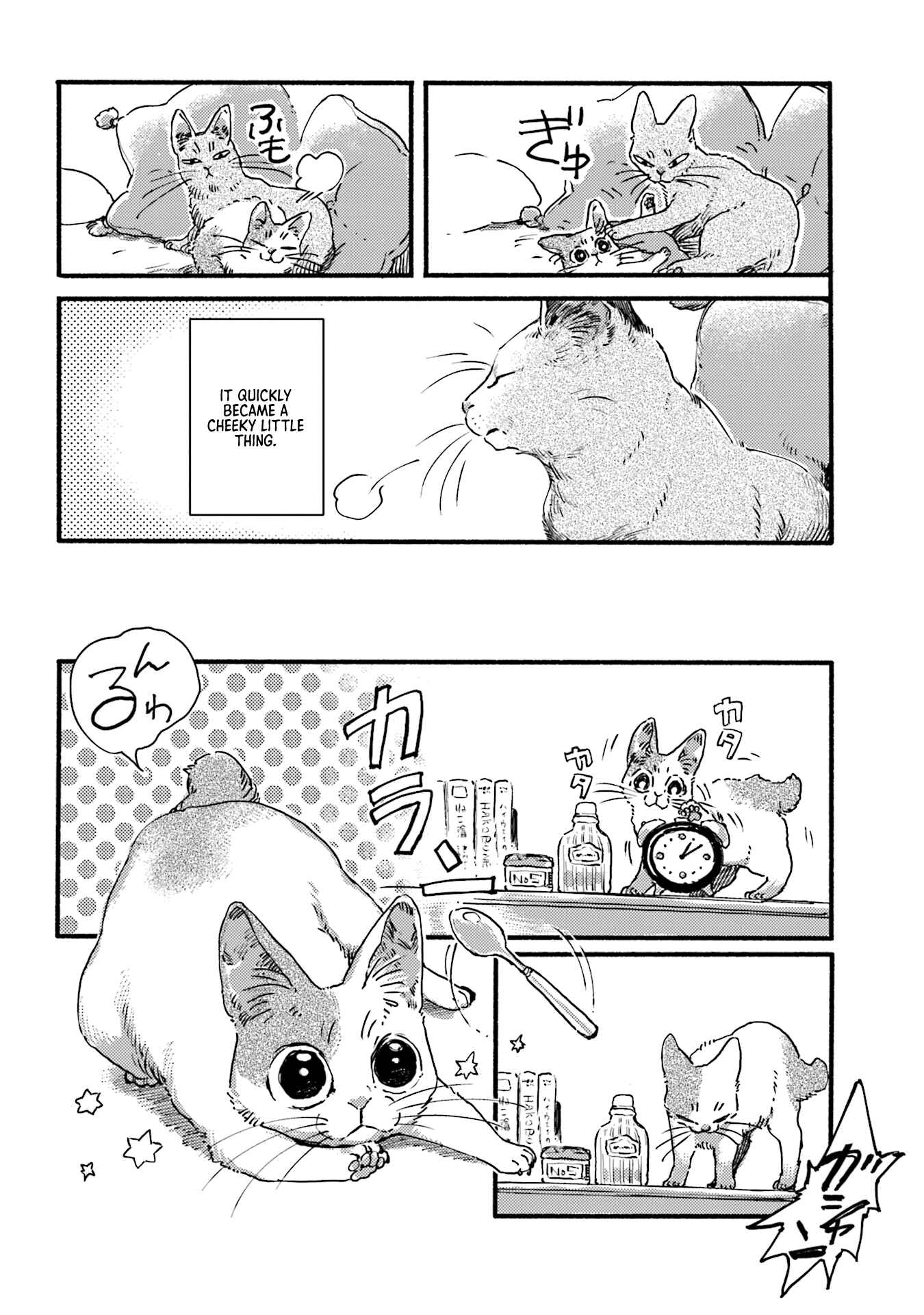 Chapter 3 - Page 6