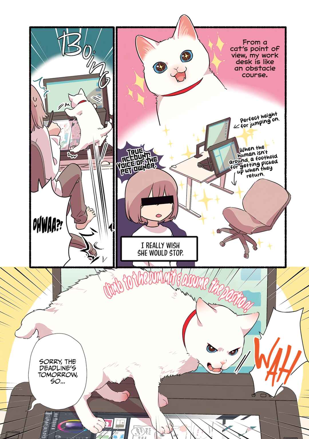 Chapter 1.3 - Page 4