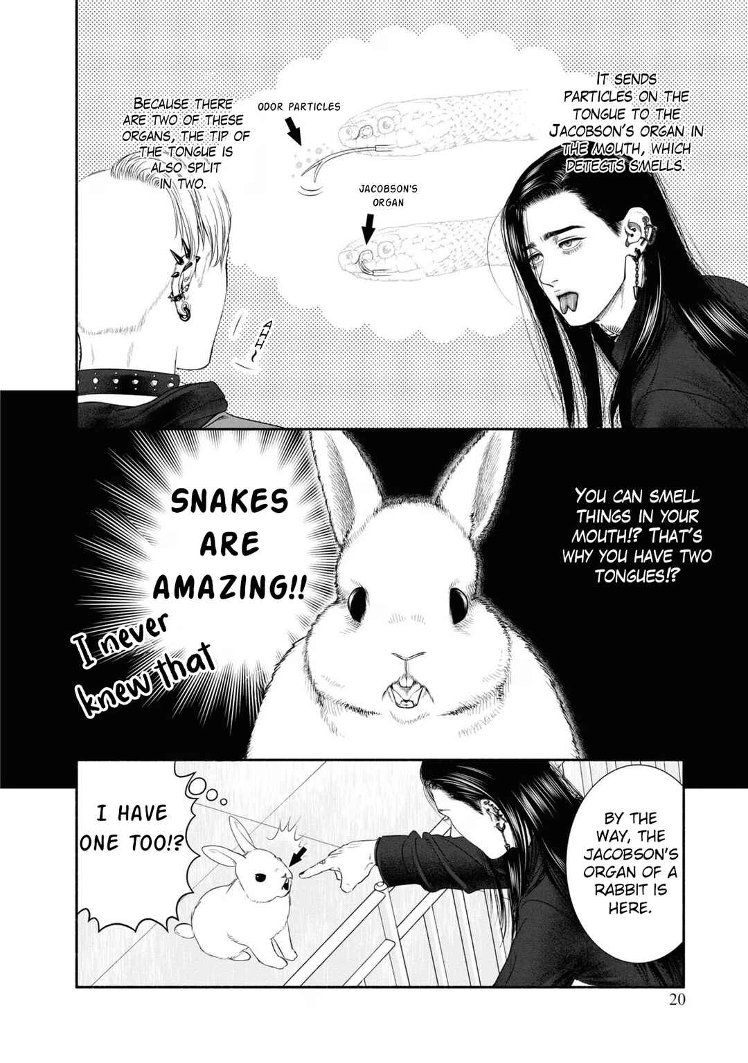 Chapter 5 - Page 4