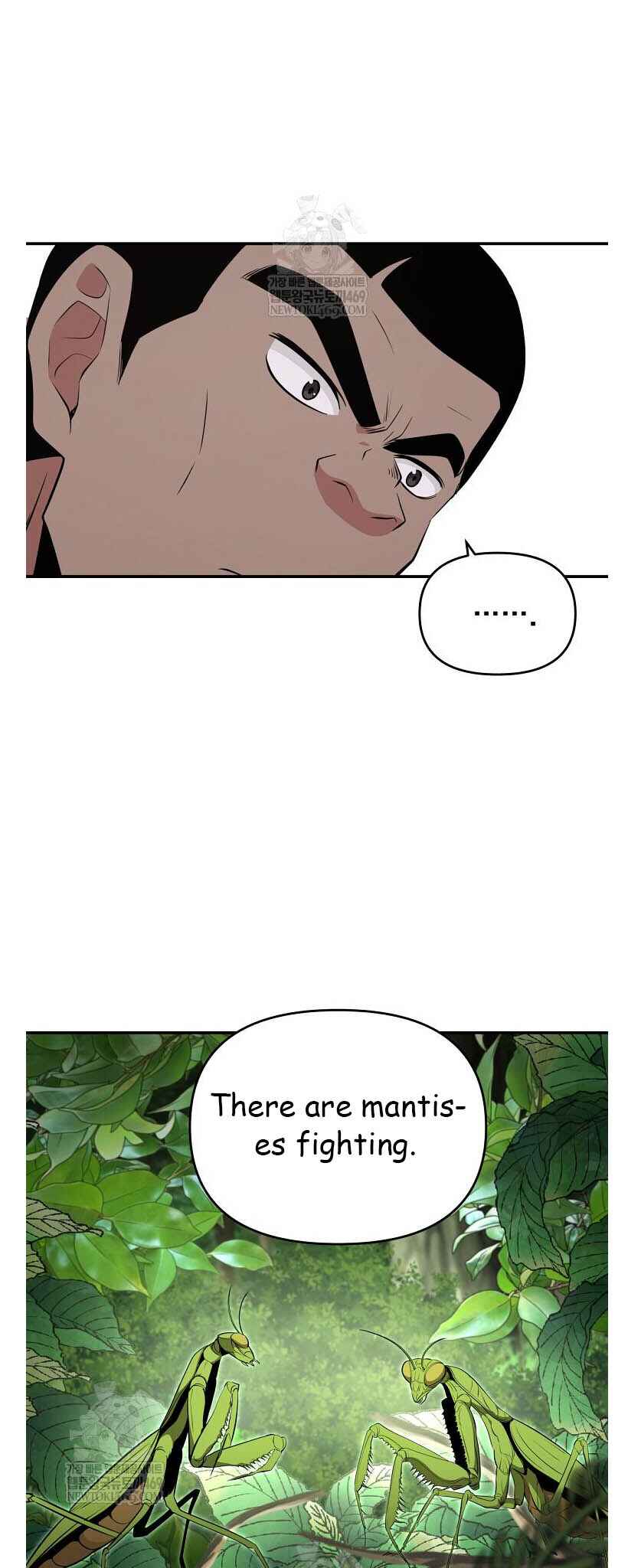 Chapter 96 - Page 31