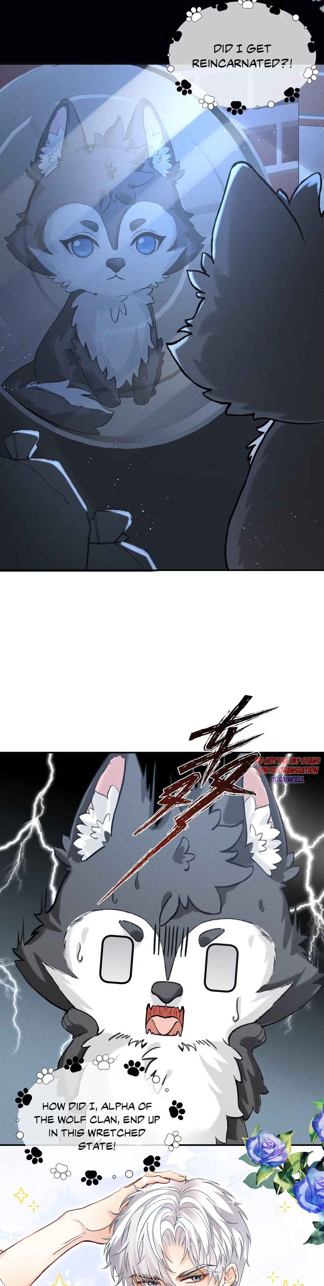 Chapter 1 - Page 12