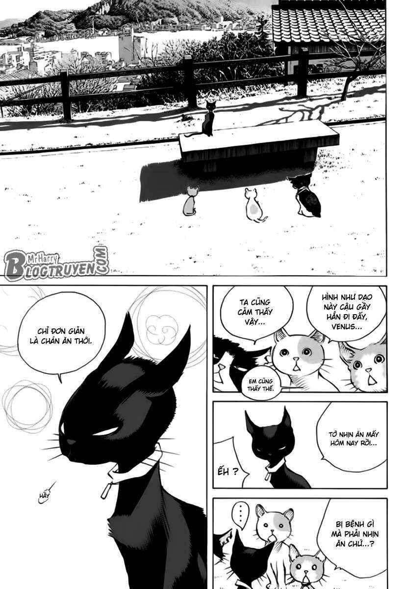 Chapter 162 - Page 18