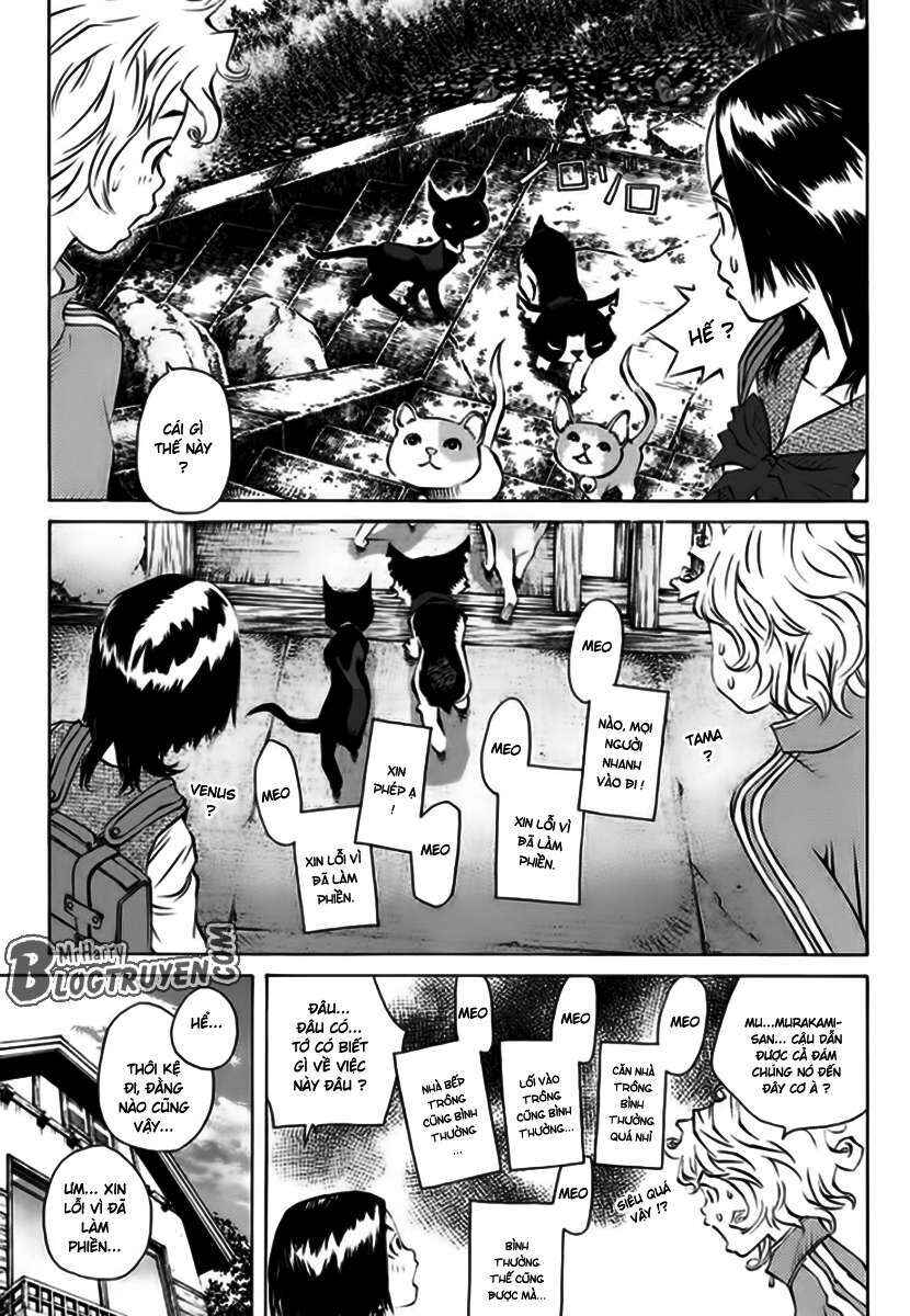 Chapter 162 - Page 22