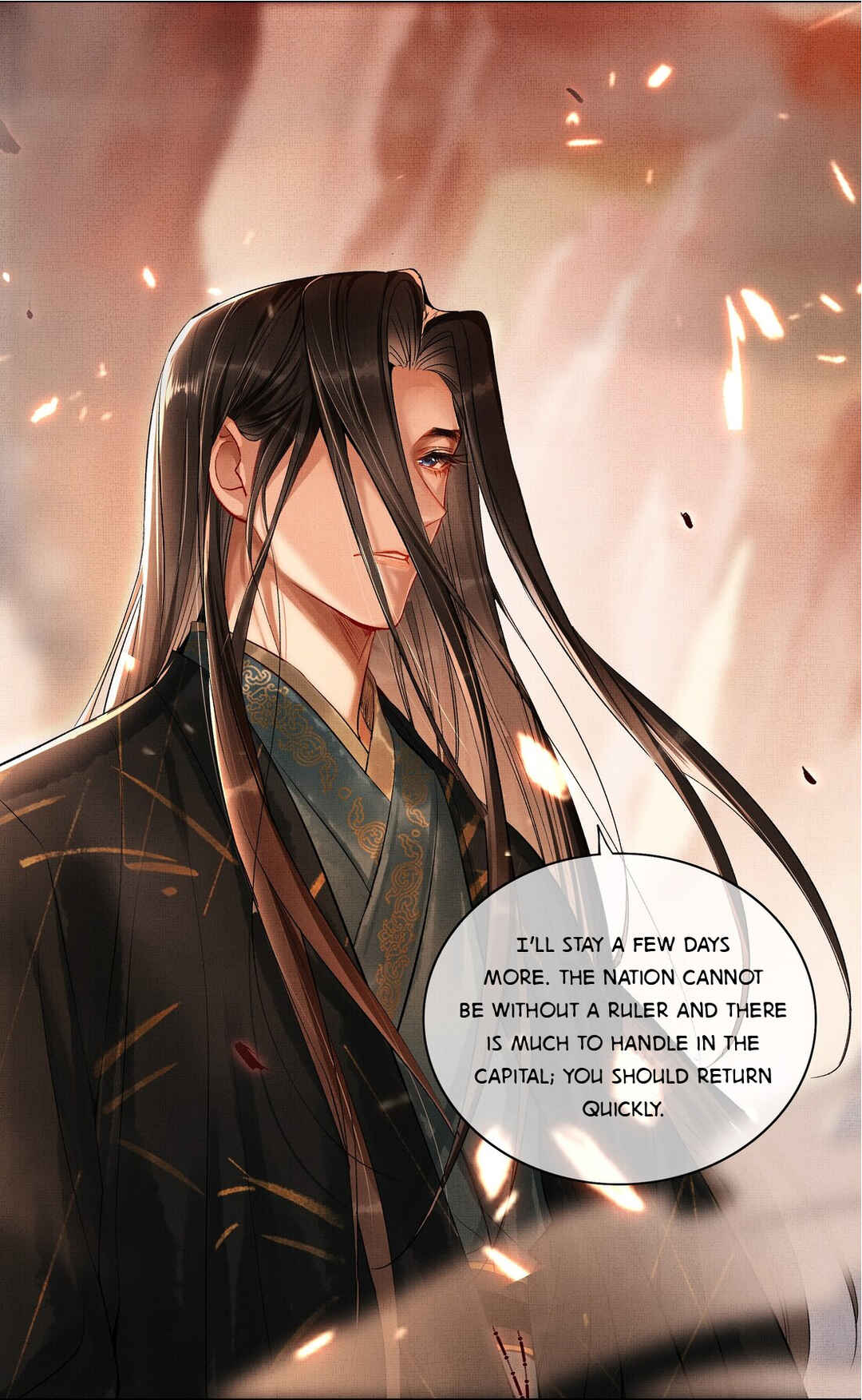 Chapter 0.5 - Page 11