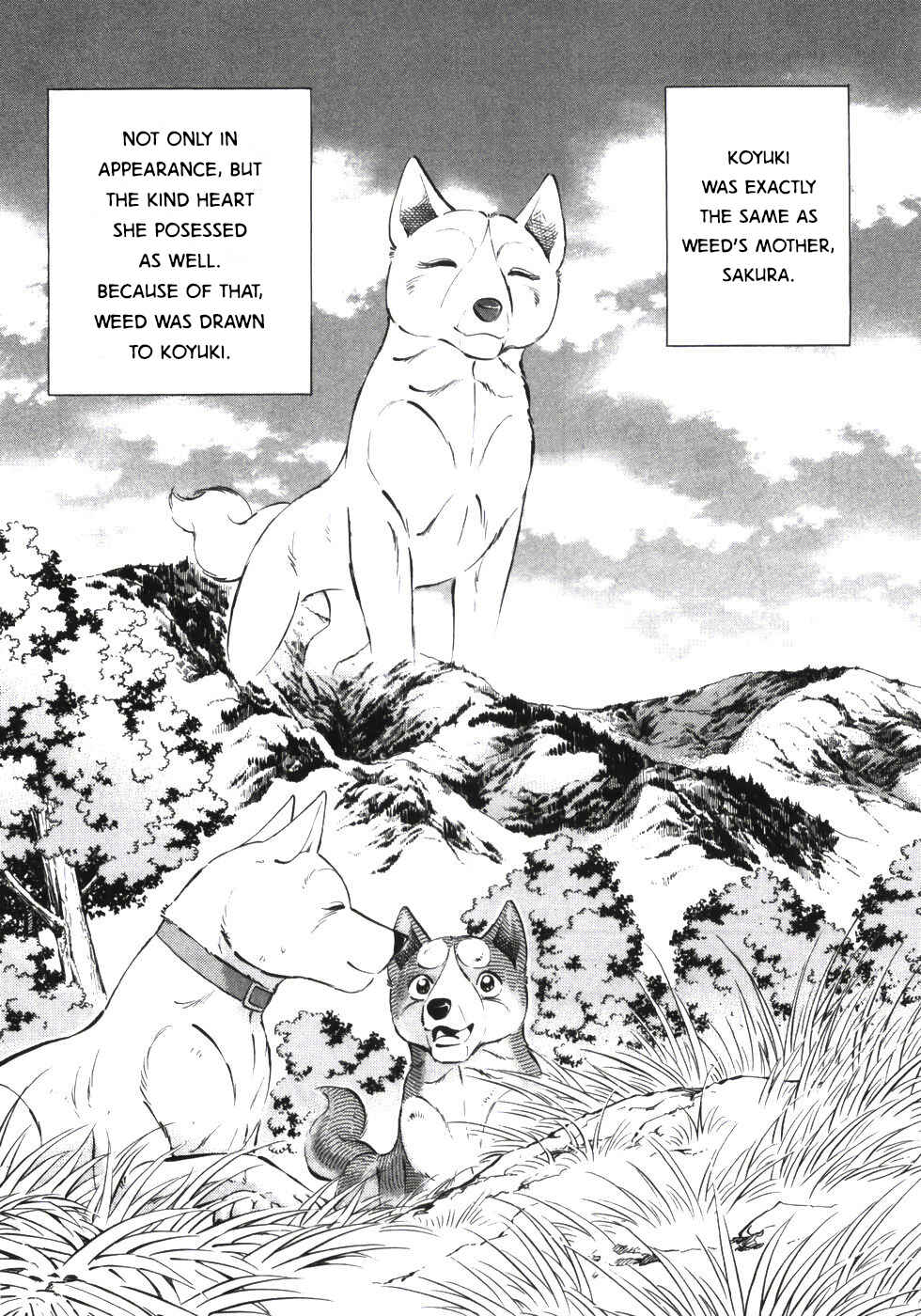Chapter 335 - Page 12