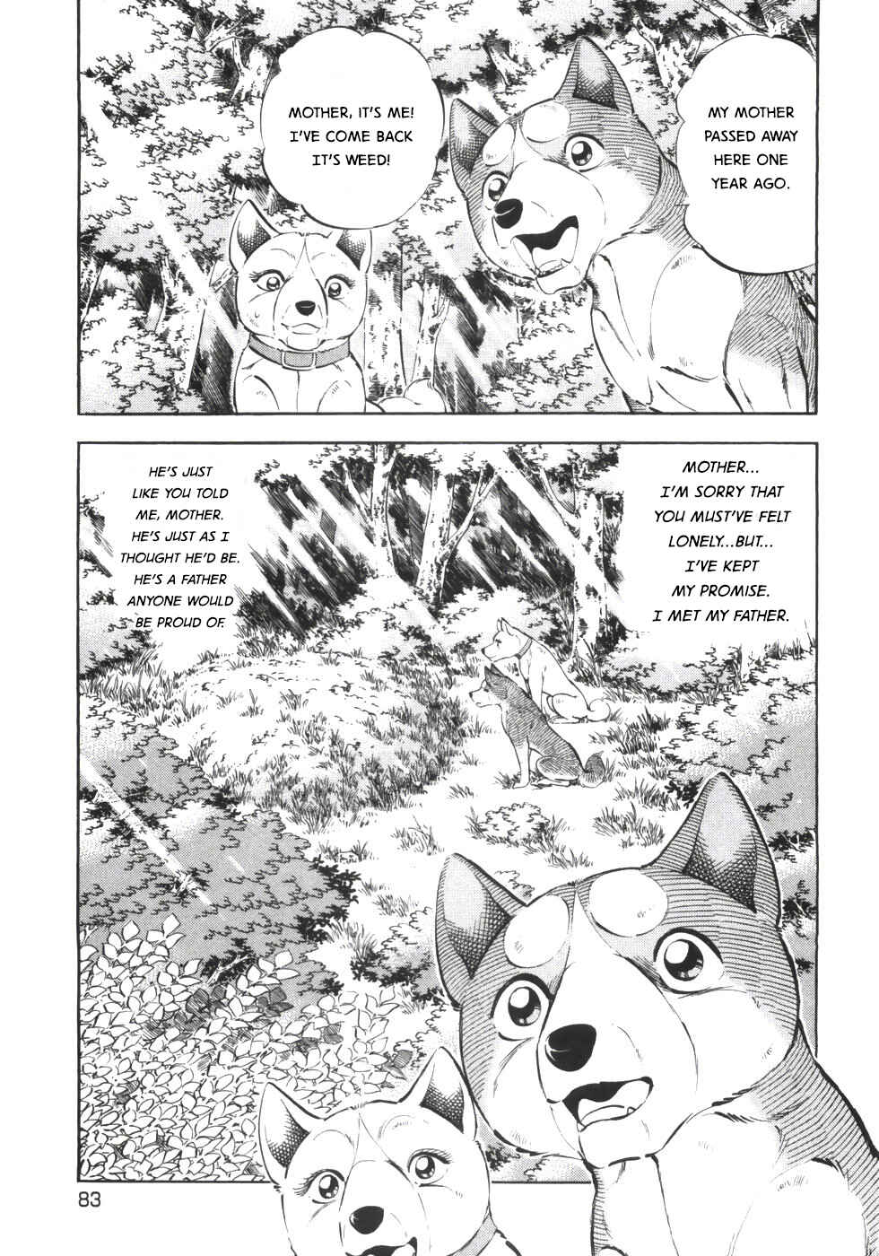 Chapter 335 - Page 3