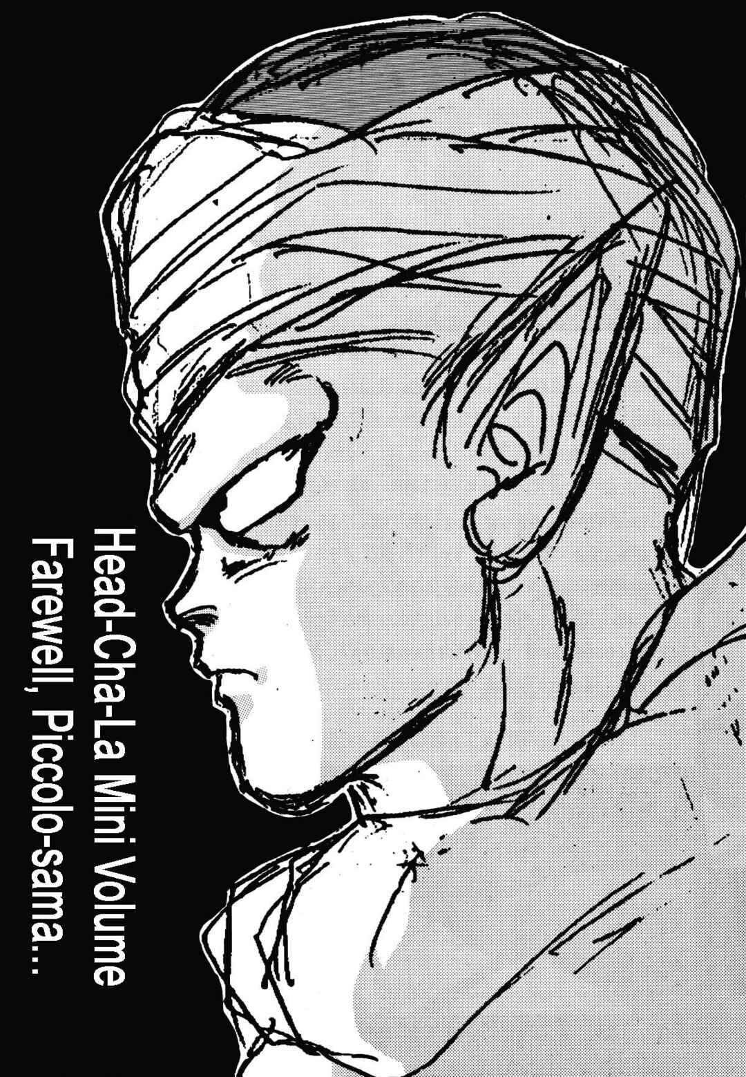 Chapter Farewell, Piccolo-sama... - Page 2