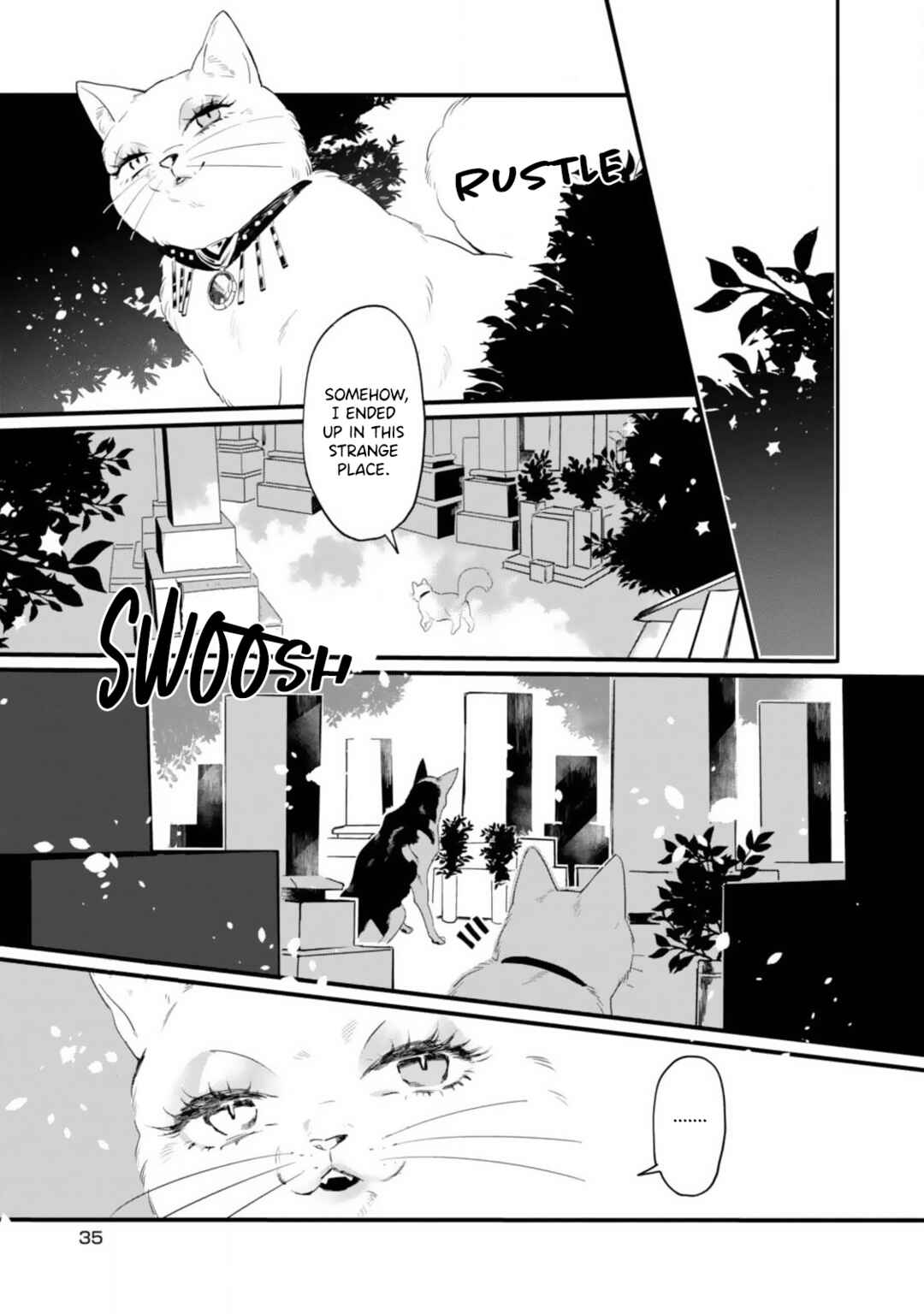 Chapter 2 - Page 16