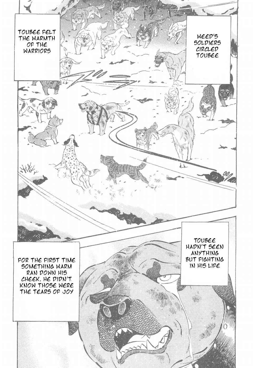 Chapter 186 - Page 19