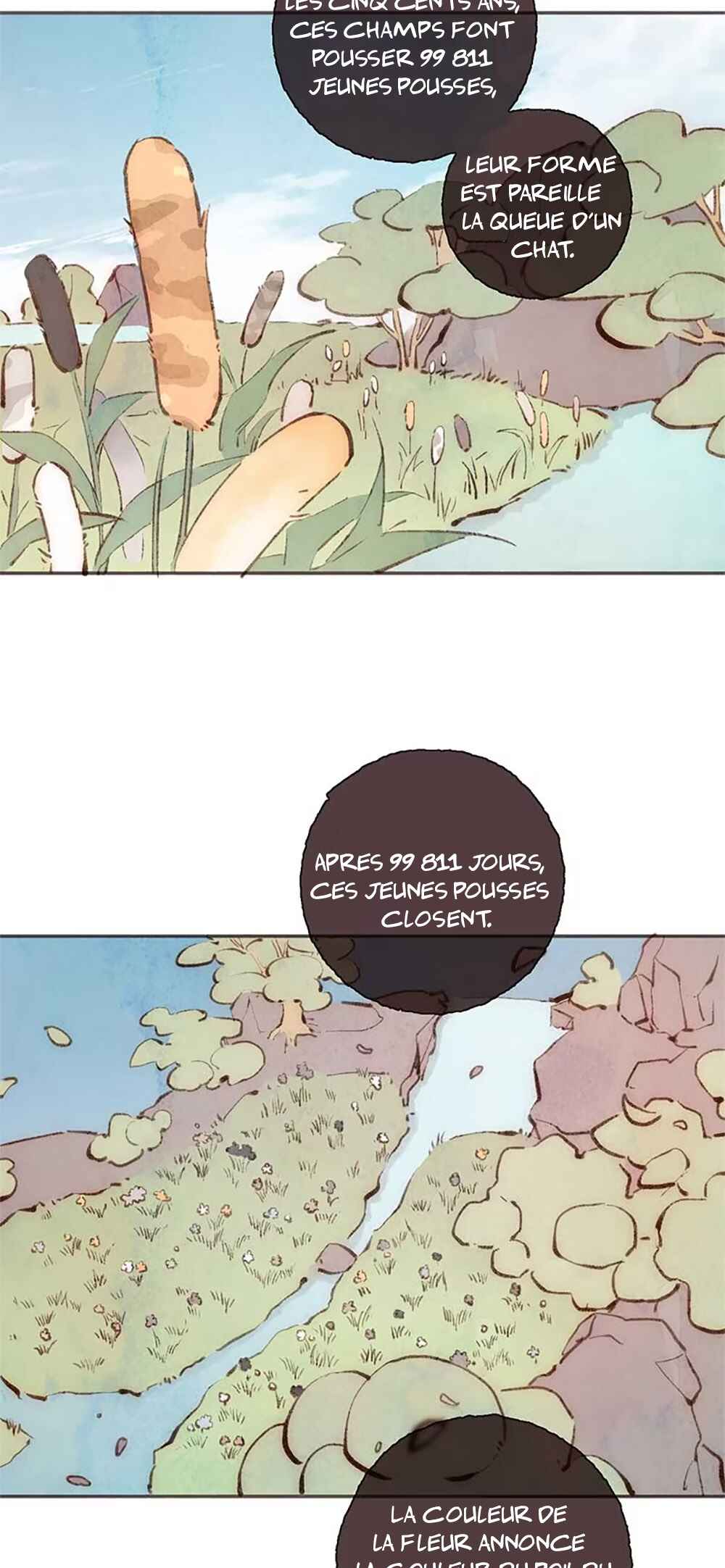 Chapter 0 - Page 7