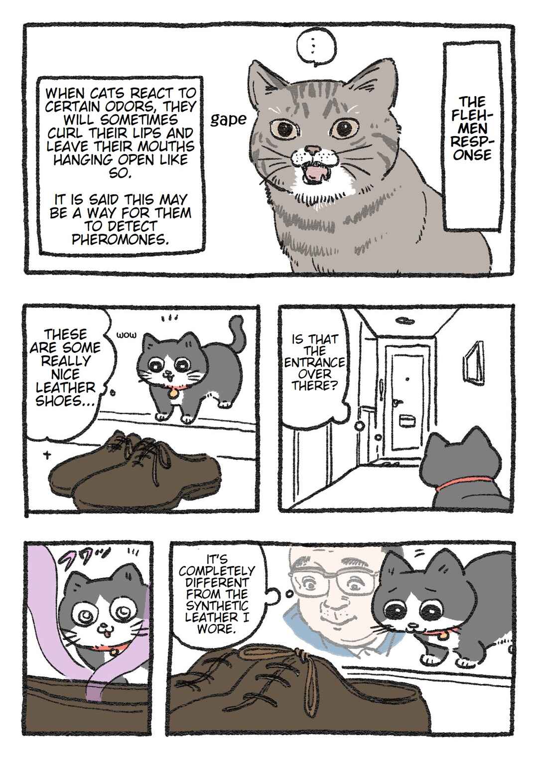 Chapter 57 - Page 1