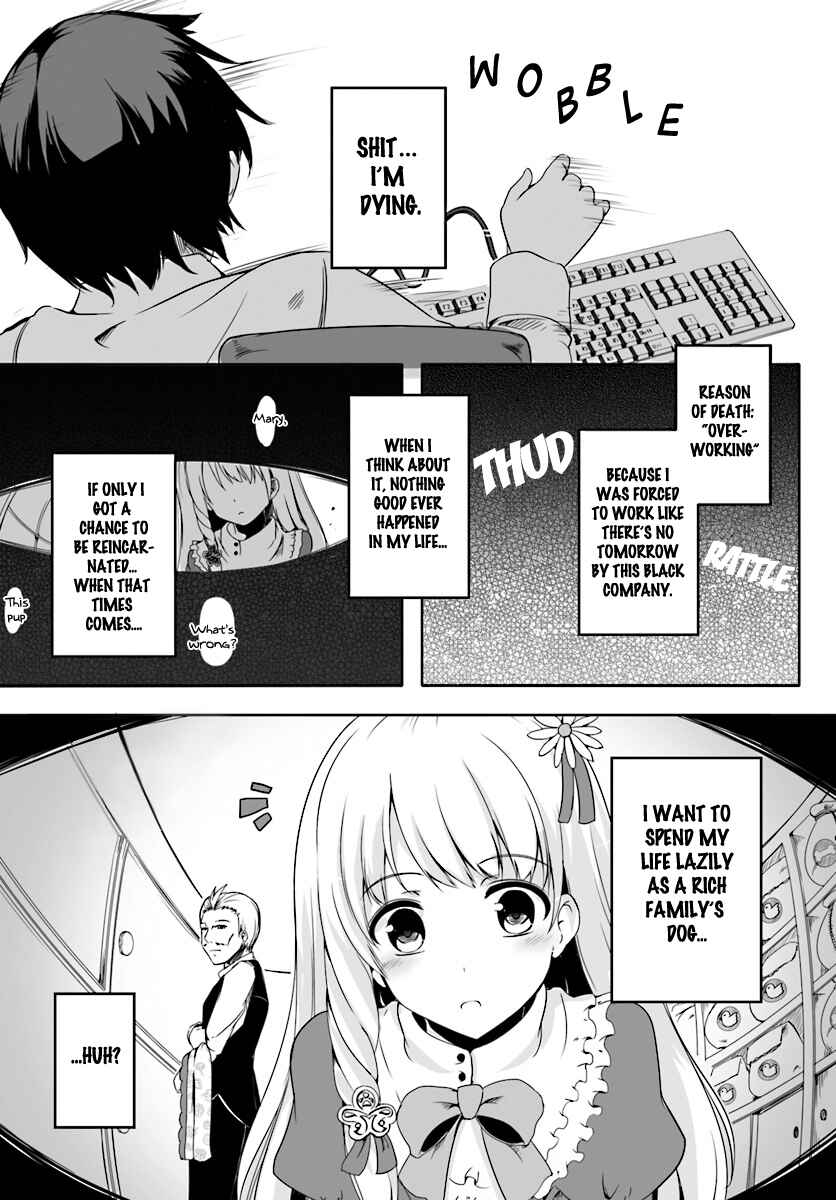 Chapter 0 - Page 1