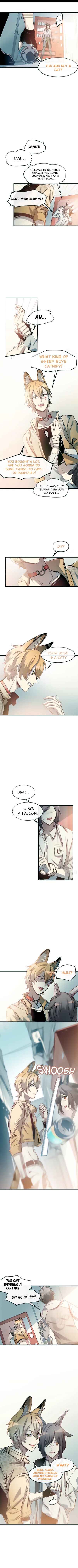 Chapter 1 - Page 6