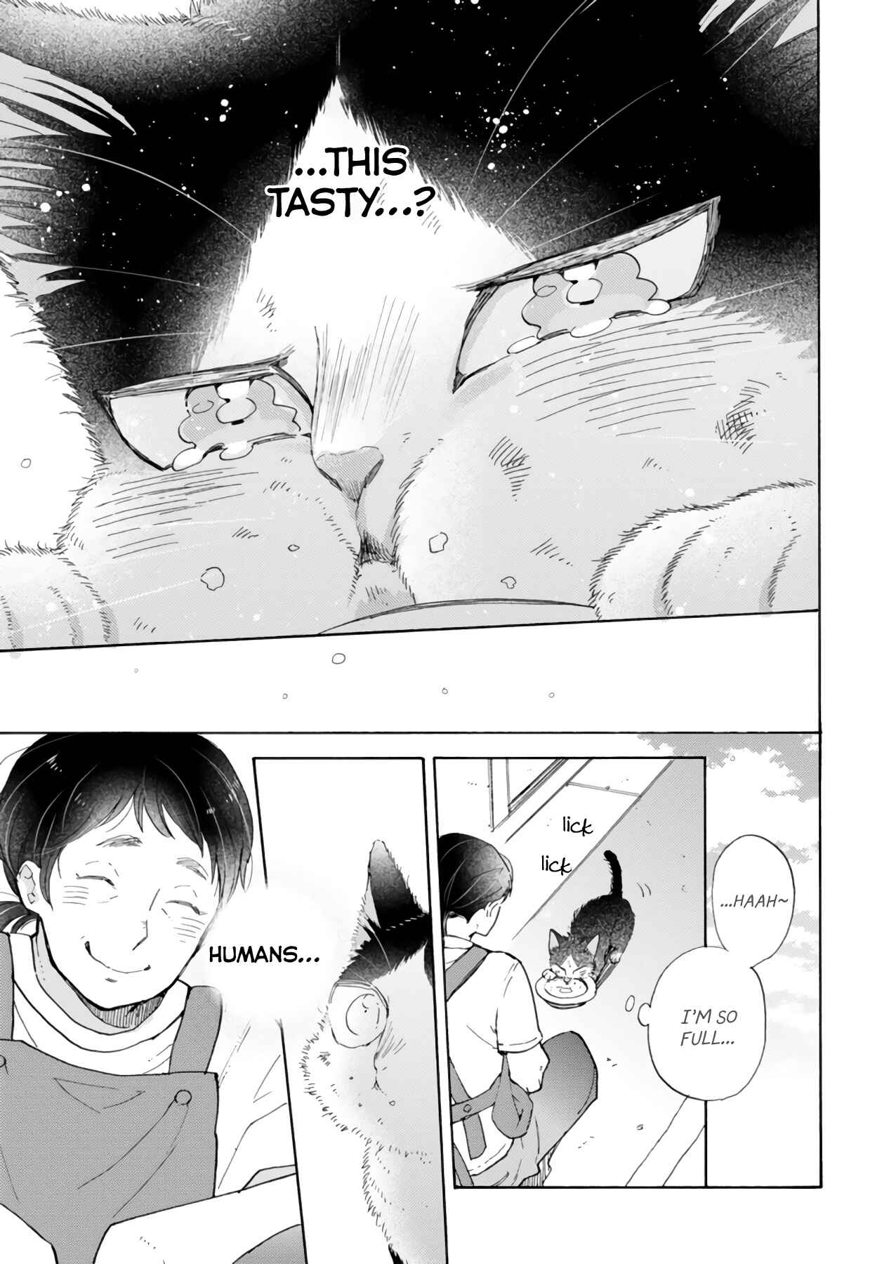 Chapter 16.3 - Page 19
