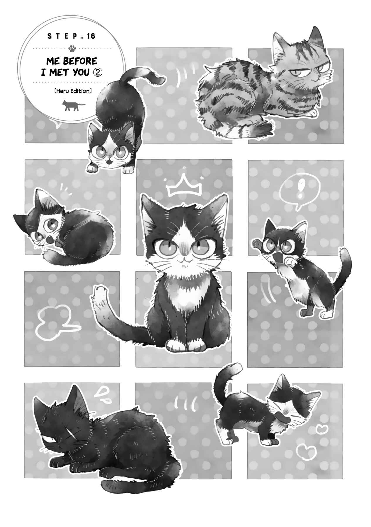 Chapter 16.3 - Page 3