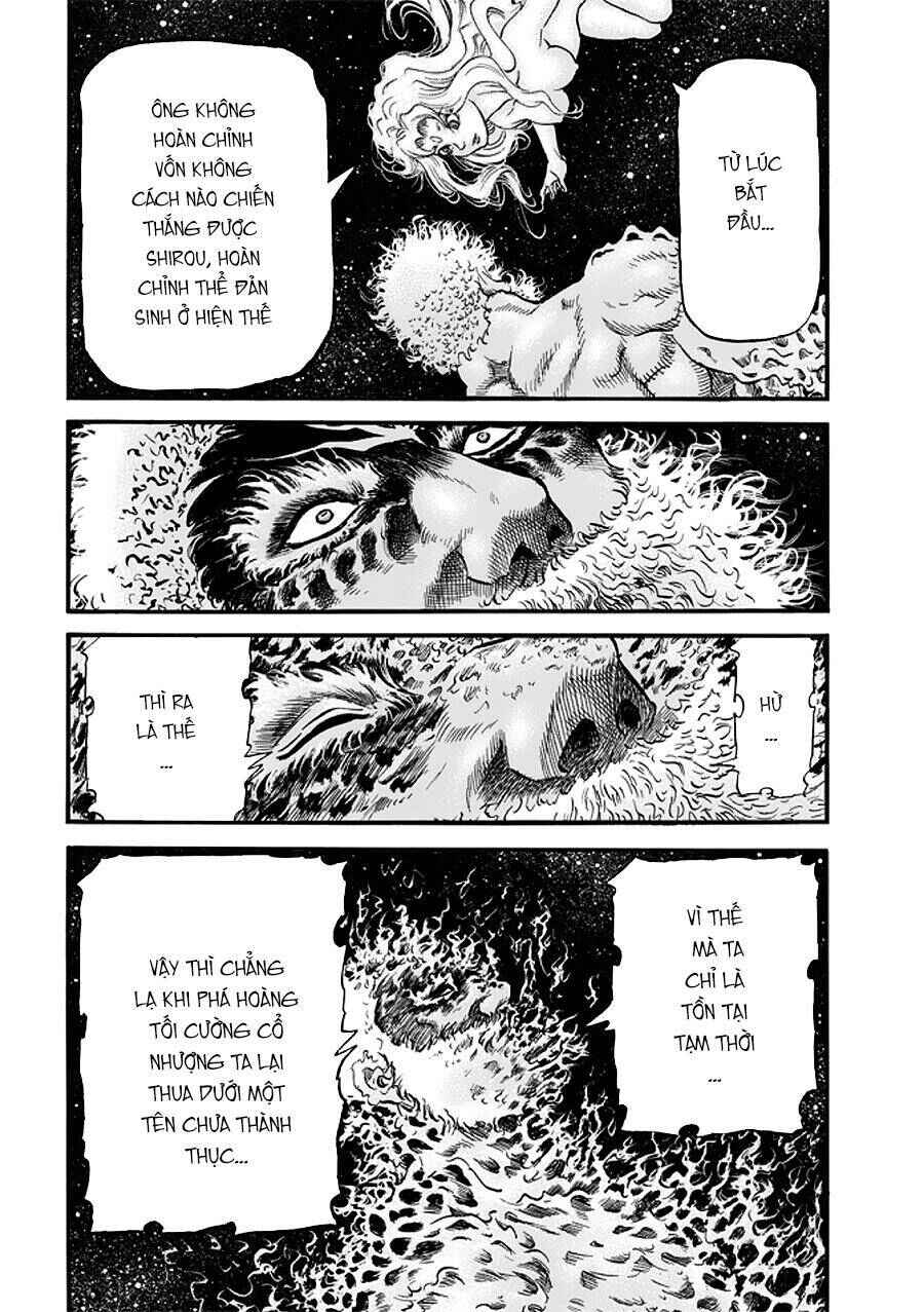 Chapter 288 - Page 19