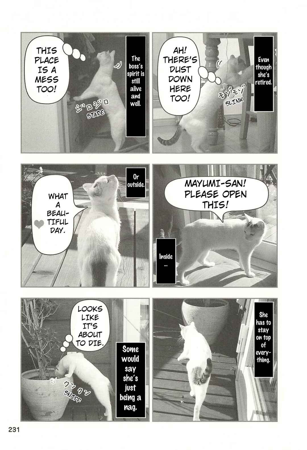Chapter 54 - Page 4