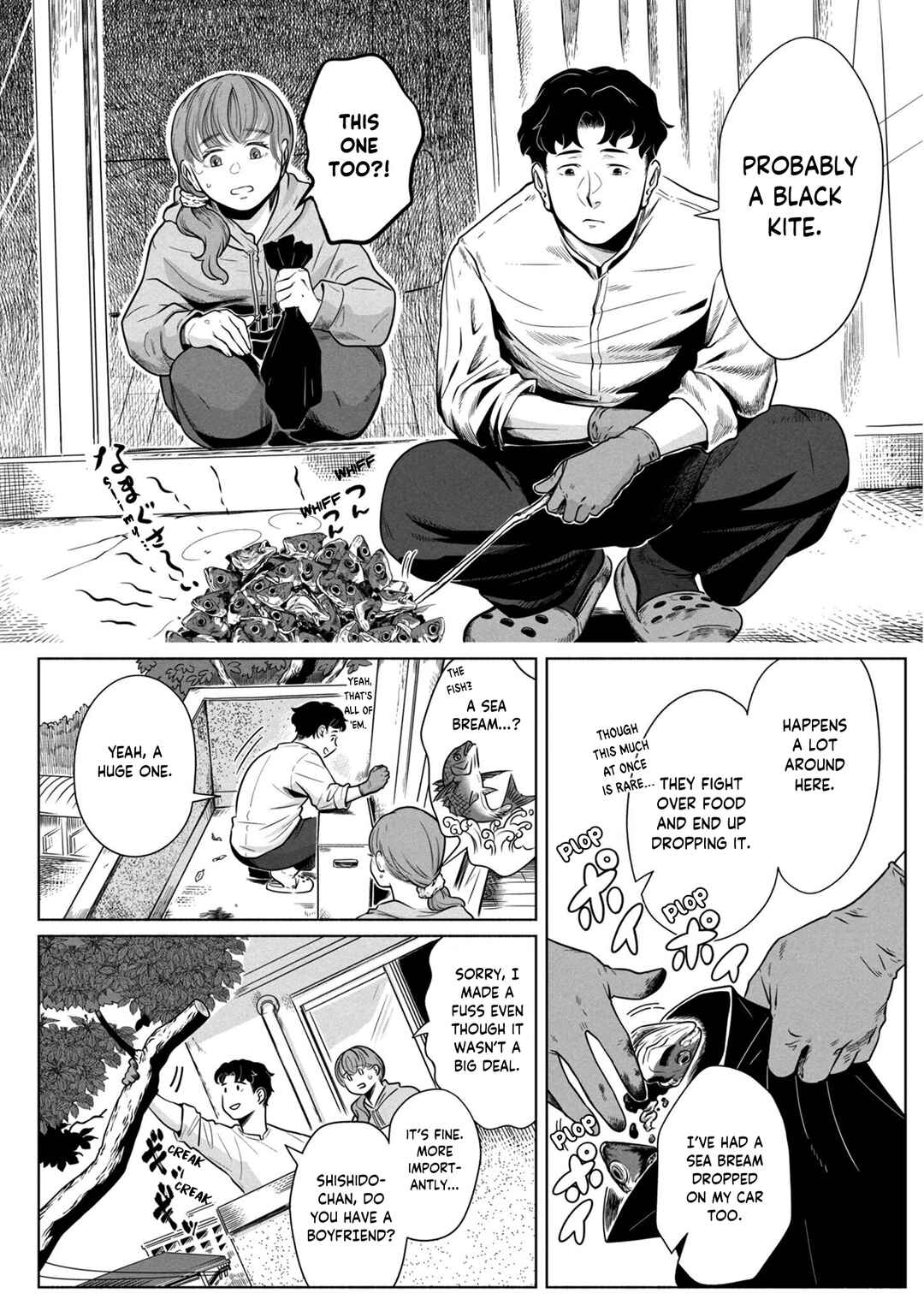 Chapter 1 - Page 13