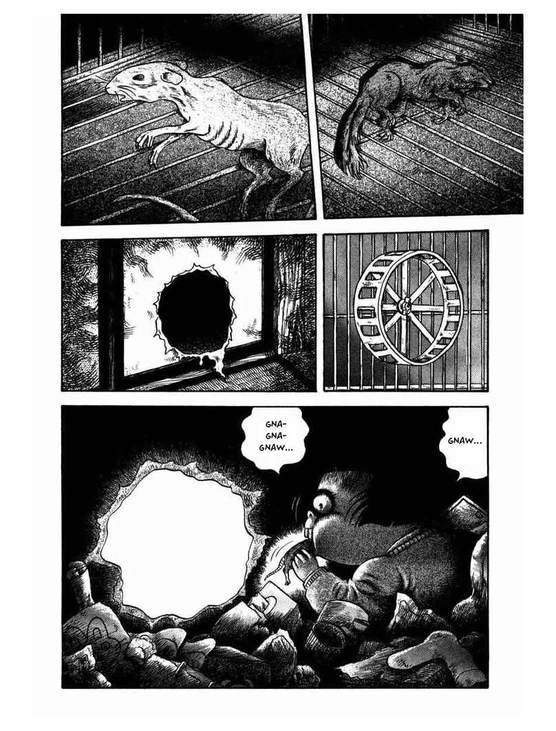 Chapter 1 - Page 17