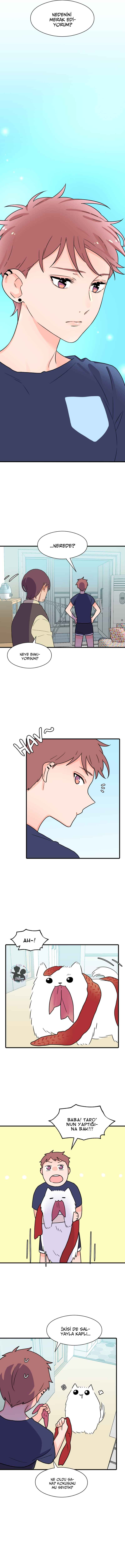 Chapter 41 - Page 11