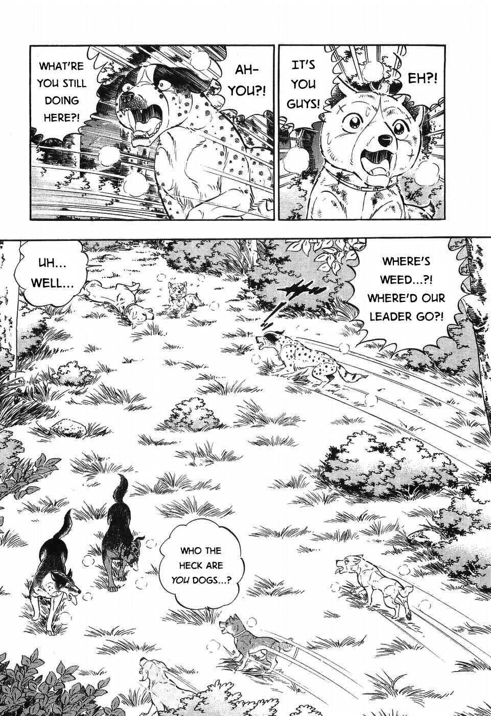 Chapter 305 - Page 13