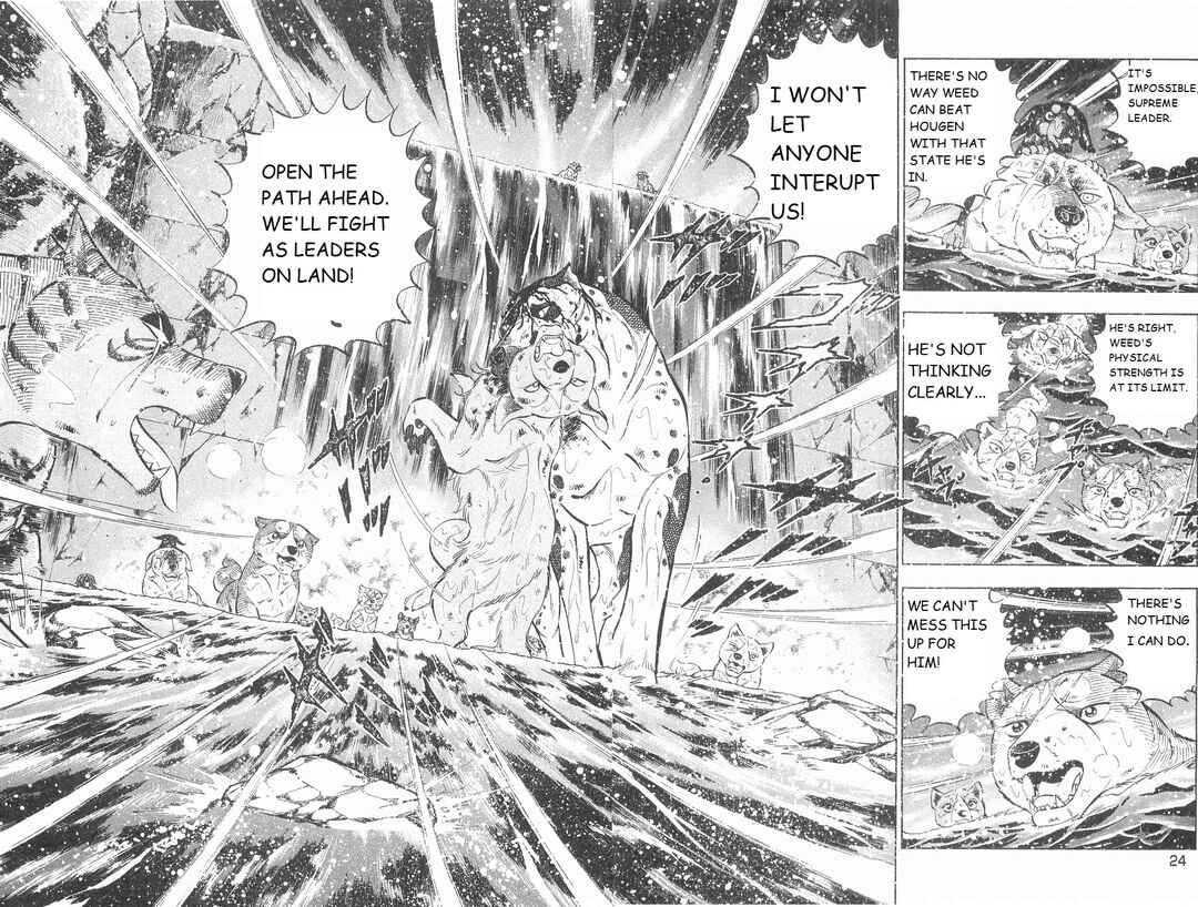 Chapter 244 - Page 13